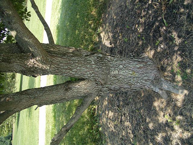 IMGP2073.JPG