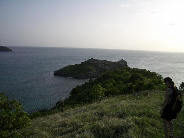IMGP0038.jpg