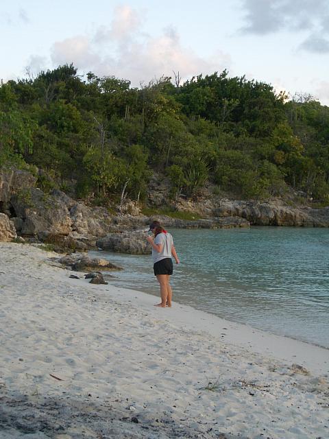 Lea looks for shells