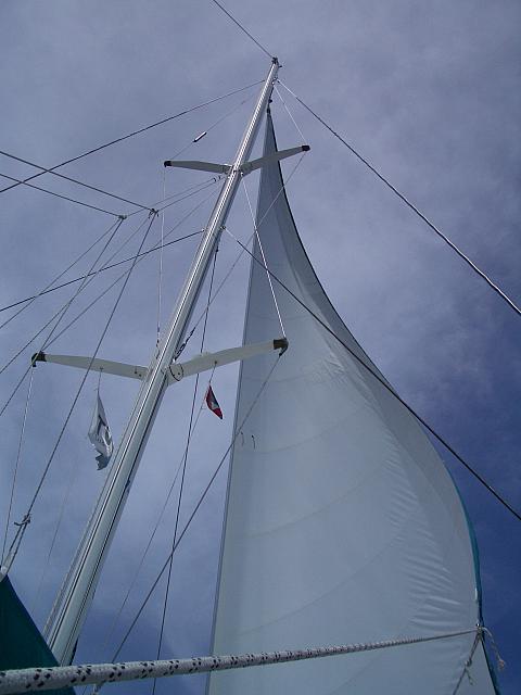 IMGP0111.jpg