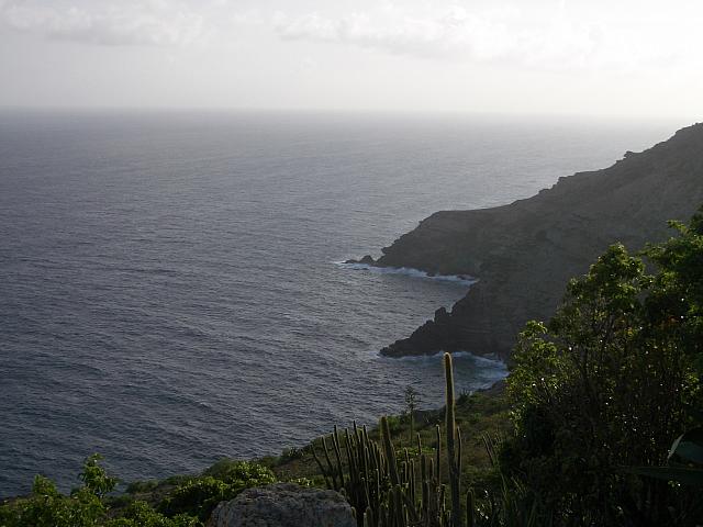 IMGP0142.jpg
