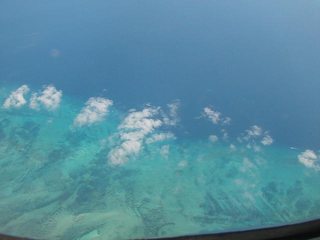 P1010142