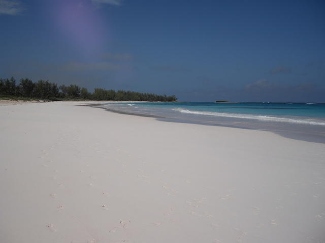 IMGP3375