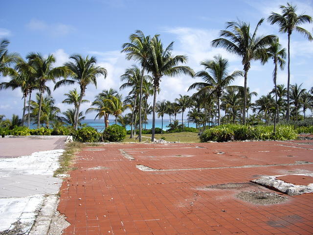 IMGP3380