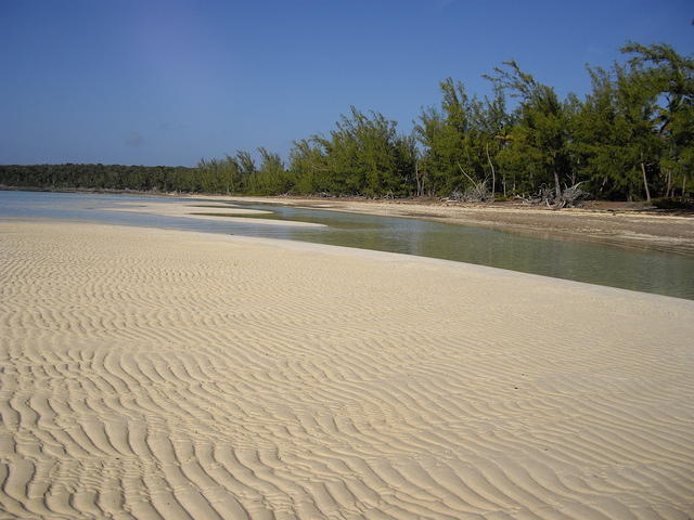IMGP3391