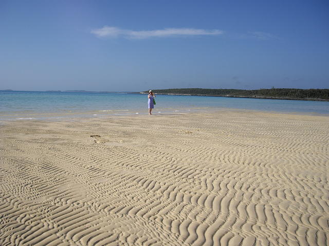 IMGP3392