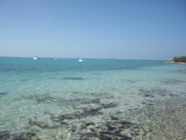 IMGP3425