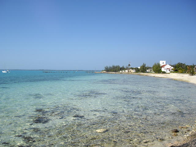 IMGP3426