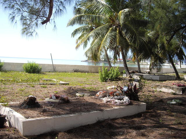 IMGP3454