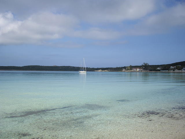 IMGP3459