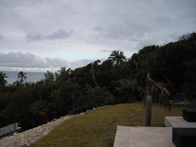 IMGP3517