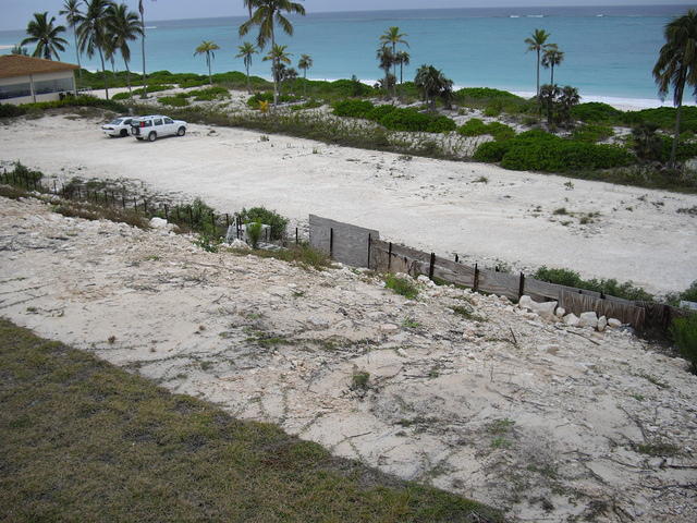 IMGP3520