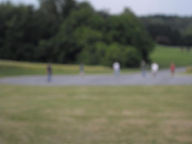 IMGP3056