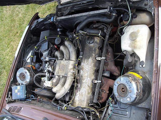 IMGP3582