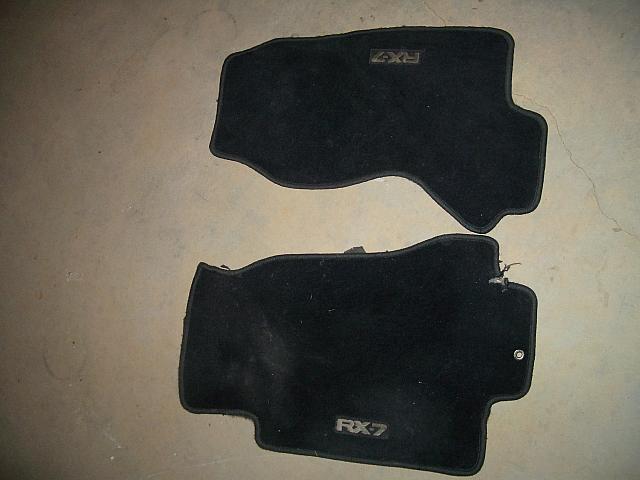 IMGP1595.JPG