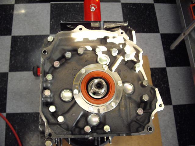 IMGP2596.JPG