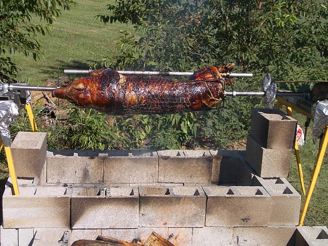 IMGP1241.jpg