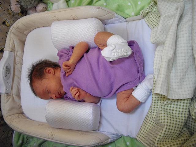 IMGP2339.JPG