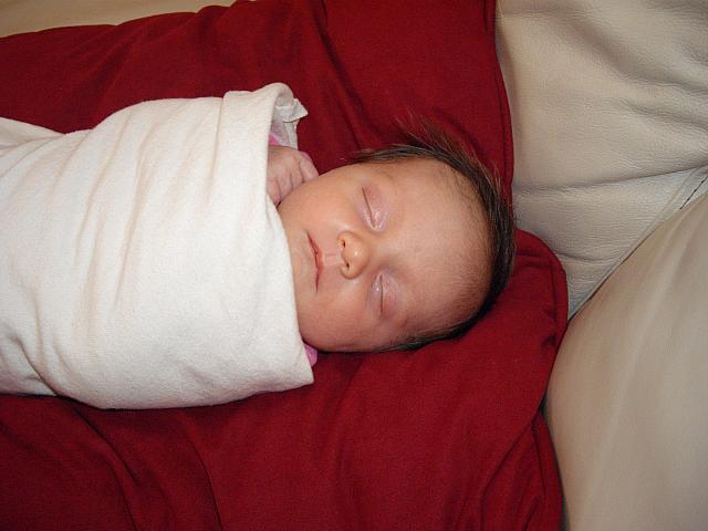 IMGP2361.JPG