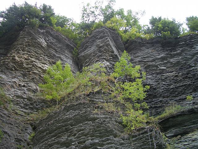 IMGP1731.JPG