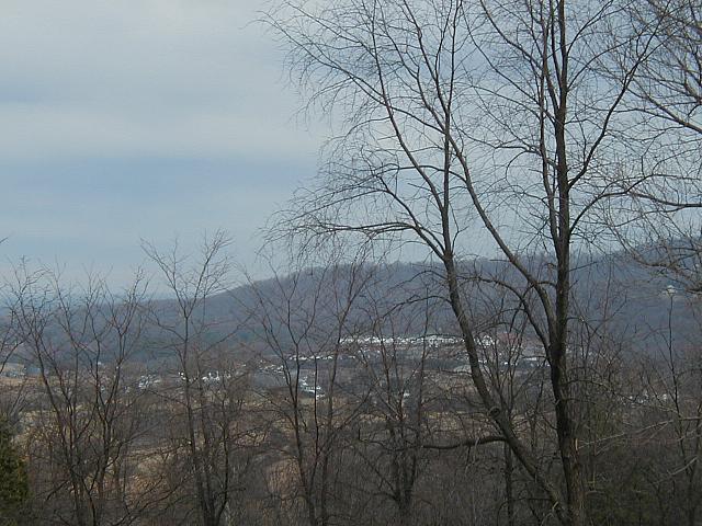 P1010006