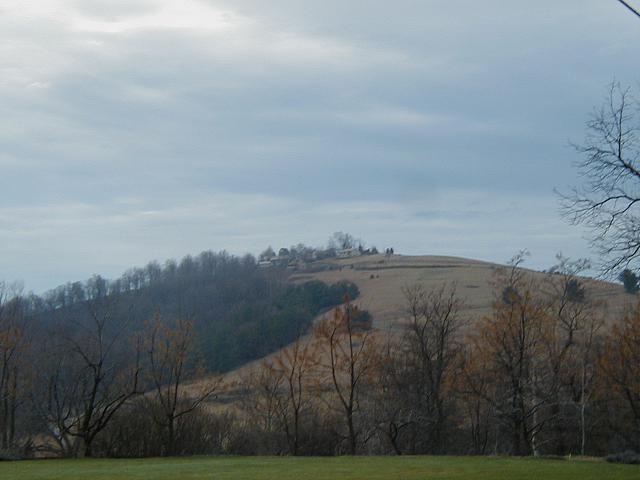 P1010009