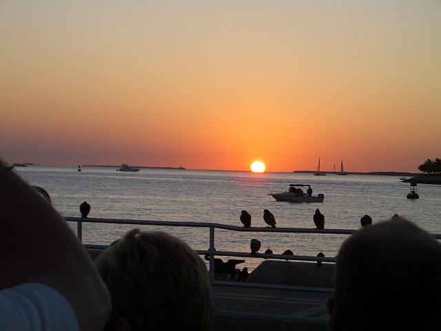 IMGP0546.JPG