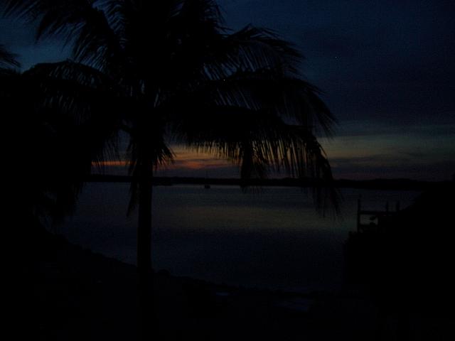 IMGP0569.JPG