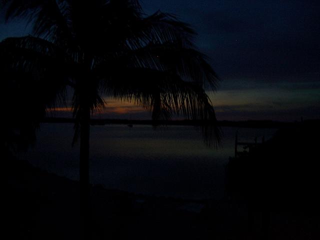 IMGP0570.JPG