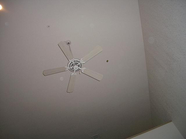 Throw the lime at the ceiling fan and watch it bounce about.