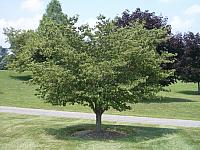 IMGP2066.JPG
