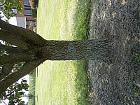 IMGP2069.JPG