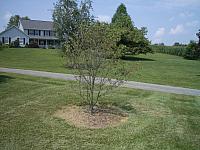 IMGP2071.JPG