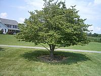 IMGP2072.JPG