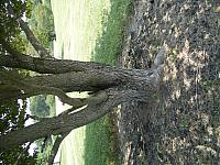 IMGP2074.JPG