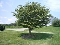 IMGP2089.JPG