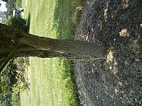IMGP2093.JPG
