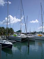 That's the boat.. The Joy.  It's a 51' catamaran with 5 state rooms, a galley, lounge and lotsa beer.
