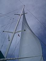 IMGP0111.jpg