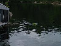 IMGP1275.JPG