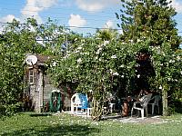 Behind the facade of the peaceful and innocent looking park lies our true destination, The Shed!