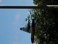 P1010053