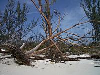 The beach was washed away