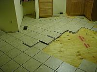 Had to make a path for the fridge, since it wouldn't leave the room quietly.