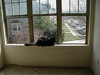 P3230052.jpg