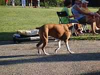 DSC00476.JPG