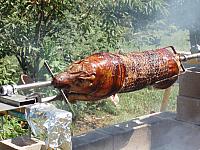 P8050019.JPG