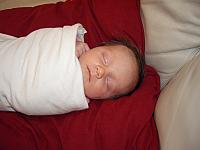 IMGP2361.JPG