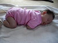 IMGP2367.JPG