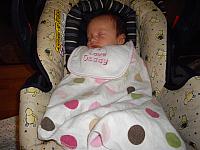 IMGP2384.JPG